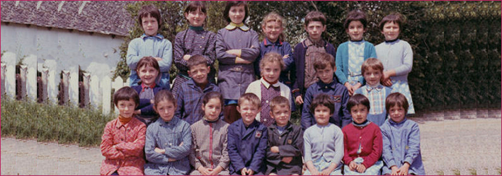 illustration rubrique faculté